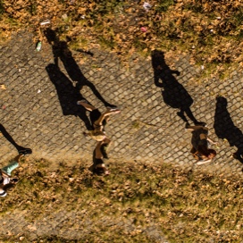 Students casting shadows on a path